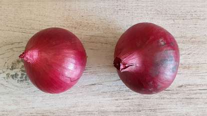 Rote Zwiebel, foto 4