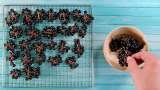 Trocknen von Aronia im Dehydrator - Vorbereitung Schritt 2