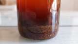 Propolis-Tinktur - Vorbereitung Schritt 5