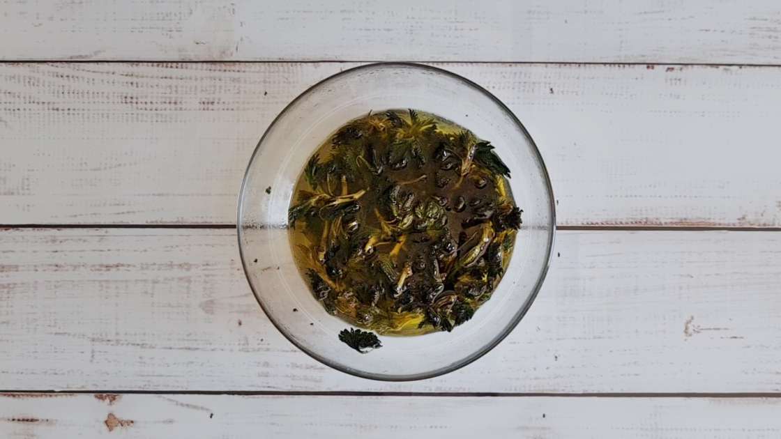 Durch Umfüllen und Bain-Marie gewonnenes Brennnesselöl, foto 8