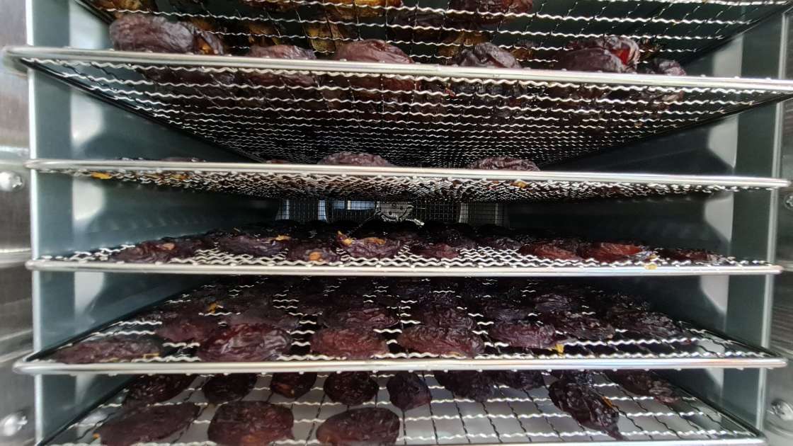 Im Dehydrator getrocknete Pflaumen, foto 7