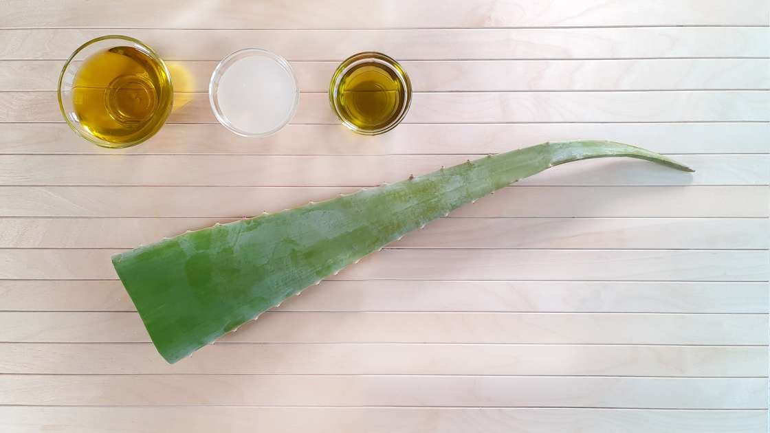 Aloe Vera Creme mit Oliven-, Trauben- und Kokosnussöl, foto 2