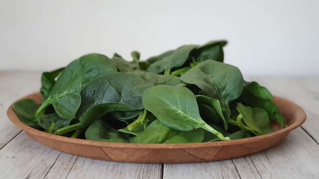 Energiegeladener Smoothie mit viel Chlorophyll, foto 4