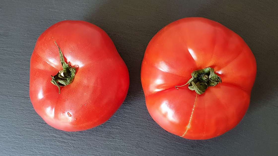 Frischer Tomatensaft mit Honig zur Stärkung von Knochen und Gelenken, foto 3