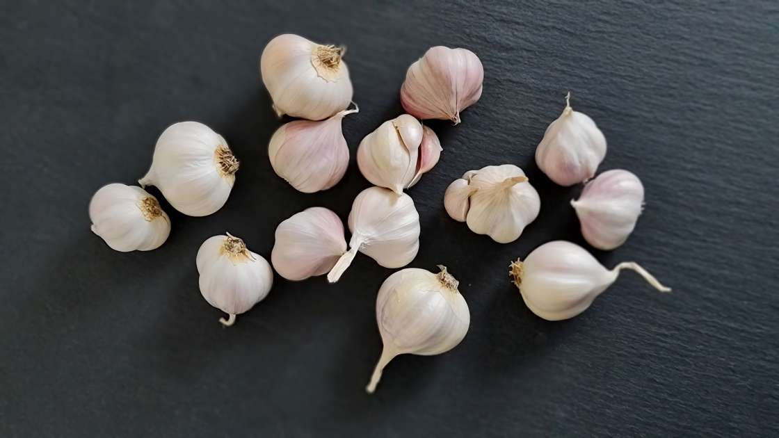 Ganzer Knoblauch am Morgen auf nüchternen Magen, foto 5