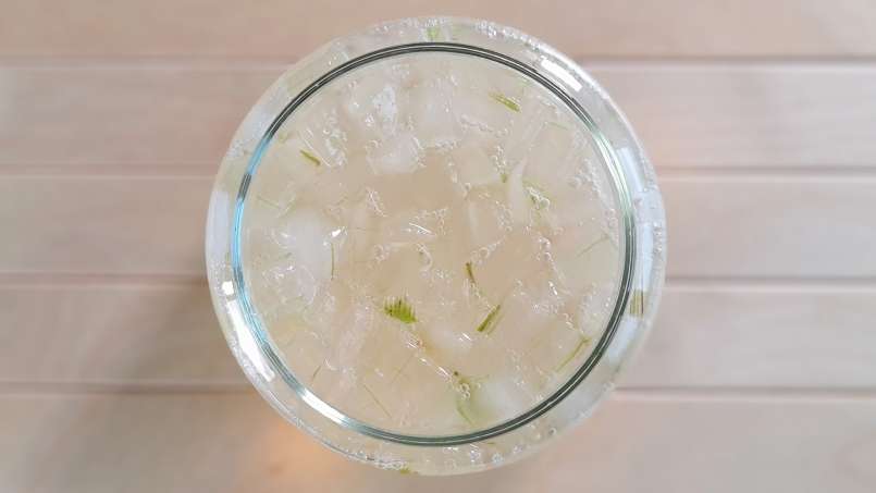 Aloe Vera Mazerat mit Honig, foto 4