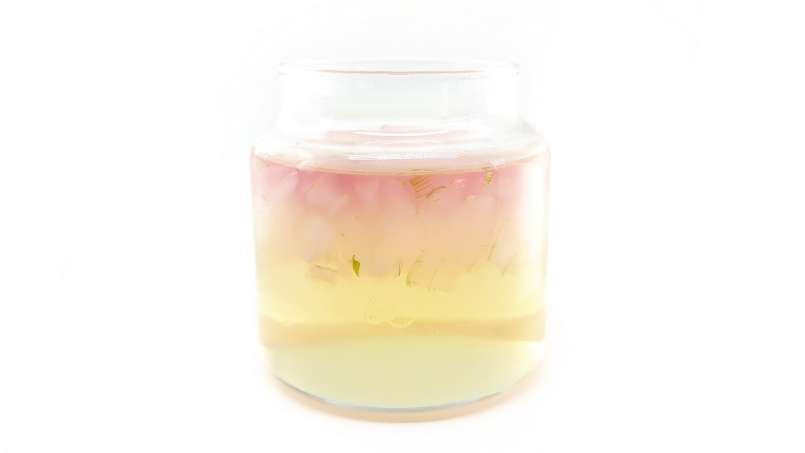 Aloe Vera Mazerat mit Honig, foto 14