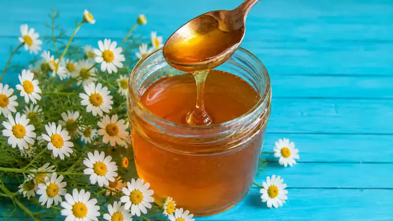 Kamillenauszug in Honig oder Kamillenhonig, foto 1