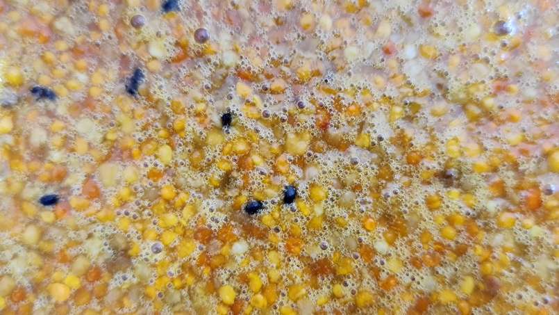 Bienencocktail - ein natürlicher Immunstärker und Energiespender, foto 9