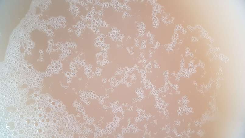 Kiefernknospen-Sirup, foto 4