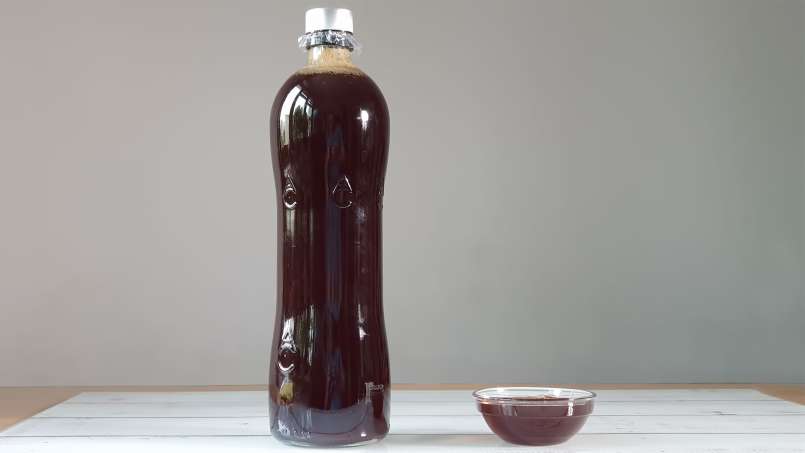 Kiefernknospen-Sirup, foto 5