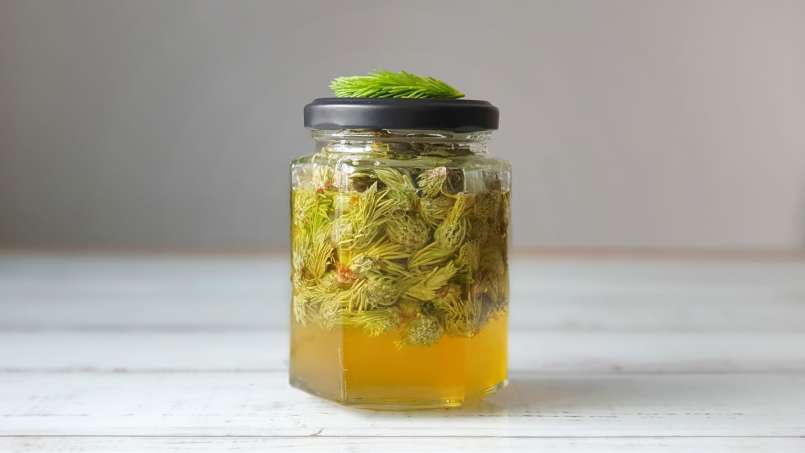 Mazerierte Pinienknospen mit Honig, foto 9