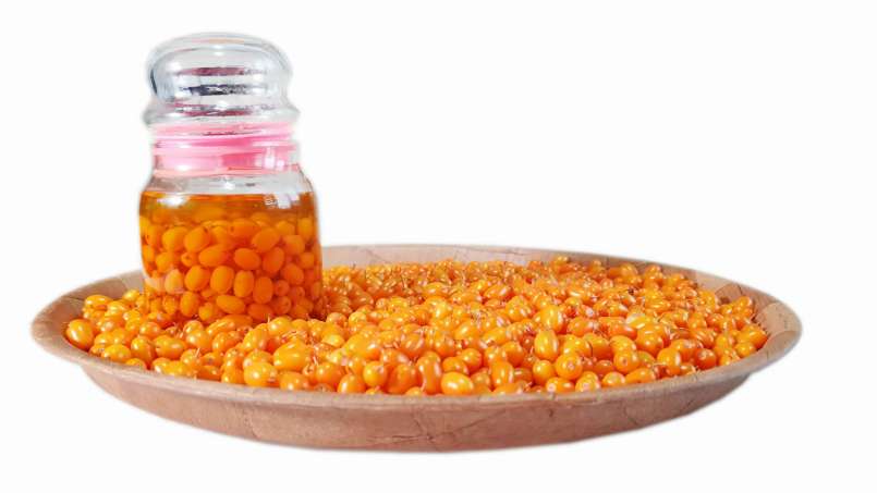 Transfer-Transfer-Rosinenöl, foto 6