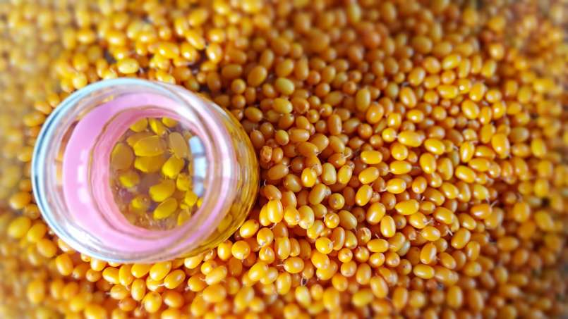 Transfer-Transfer-Rosinenöl, foto 7