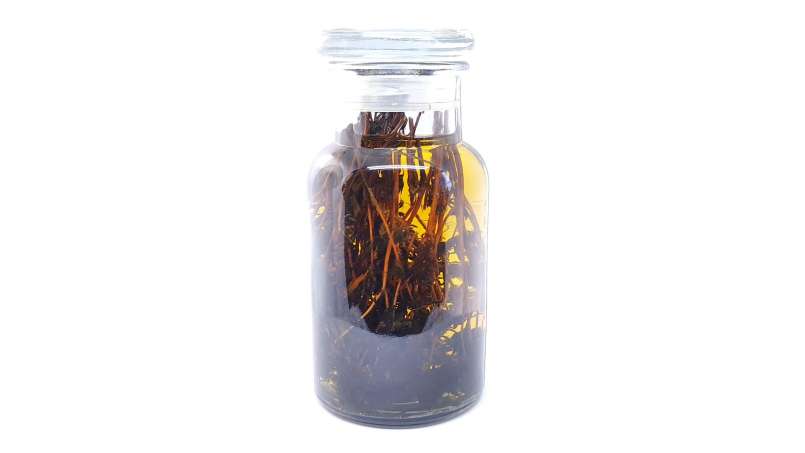 Tinktur aus Thymian, foto 2