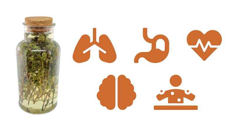 Thymian-Mazerat mit Honig, foto 1