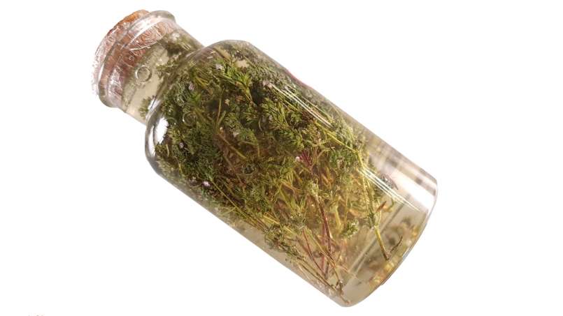 Thymian-Mazerat mit Honig, foto 4