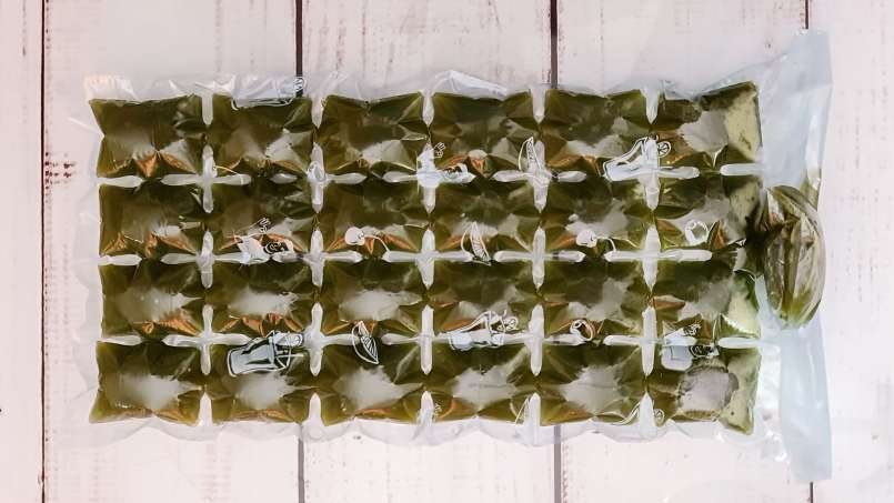 Gefrorene Brennnesselsaft-Eiswürfel, foto 7