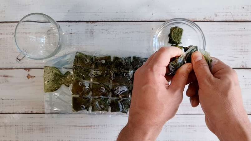 Gefrorene Brennnesselsaft-Eiswürfel, foto 10