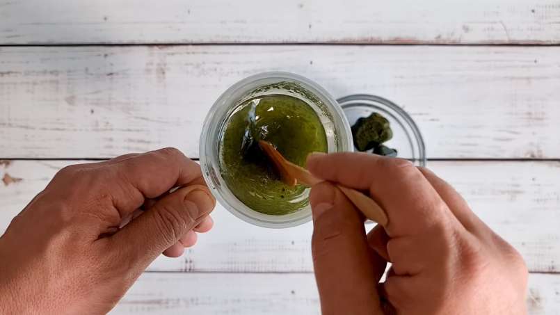 Gefrorene Brennnesselsaft-Eiswürfel, foto 11