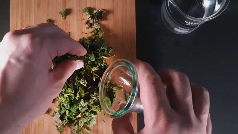 Brennnessel-Tinktur, foto 2