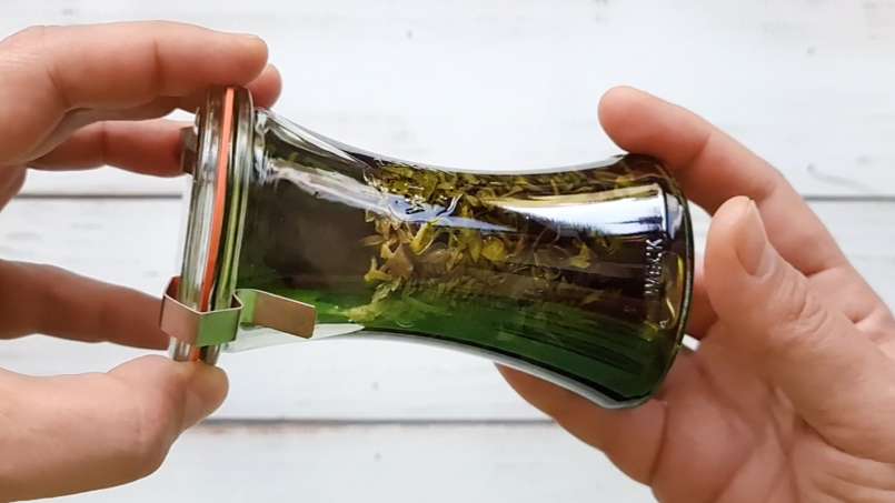 Brennnessel-Tinktur, foto 3