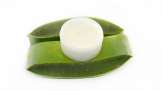 Aloe Vera Creme mit Kokosnussbutter