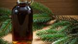 Tannenknospen-Sirup
